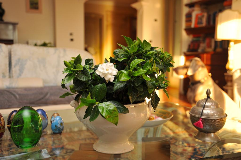 Casa Le Agavi Hotel Portoferraio Luaran gambar